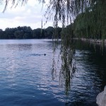 团城湖边